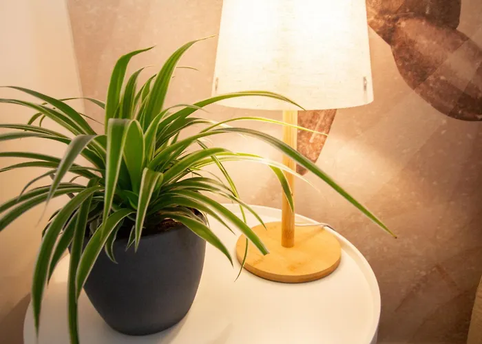 Anastasia * Βερόνα